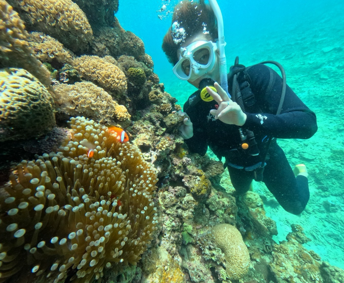 サンゴと魚のそばでダイビングを楽しむ様子